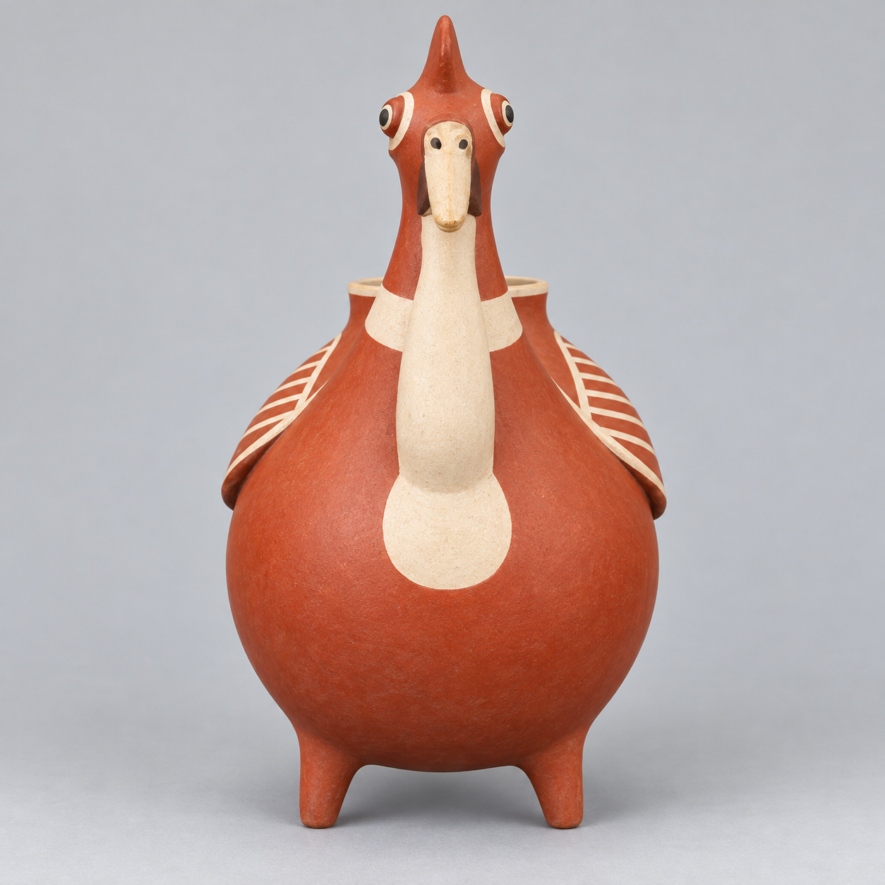 Gallo conopa